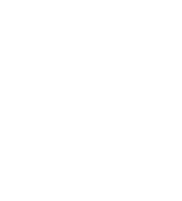 logo-blanc-celine-bagnoud